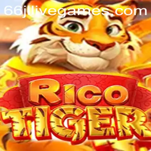 Introduction to RicoTiger